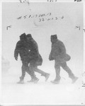 Three male figures walking through the blizzard