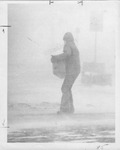 Man carrying box through the storm by The Buffalo Courier-Express Newspaper