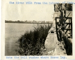 Egypt; Cairo; 1926; The River Nile; Photograph by Harry W. Rockwell