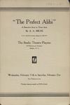 The Perfect Alibi