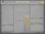 Roll Your Own Crypto: Use Cases for Novel Encryption Algorithms by Joshua Stover