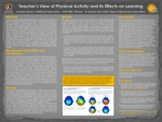 Teacher’s View of Physical Activity and Its Effects on Learning
