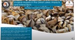 Invasive Mussels in the Great Lakes: Impacts and Interactions by Sonya Bayba
