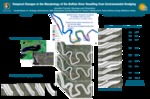 Temporal Changes in the Morphology of the Buffalo River Resulting from Environmental Dredging by Jennifer Fornell