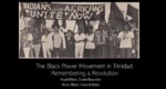 Black Power in Trinidad: Resistance in the Diaspora