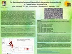 Relationship Between Slag and Soil/Vegetation/Human Health in Grand Island; Niagara Falls
