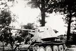Polish Tank in France After Normandy Invasion