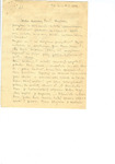 Handwritten Letter from Zofia Drzewieniecki to an Unidentified Person